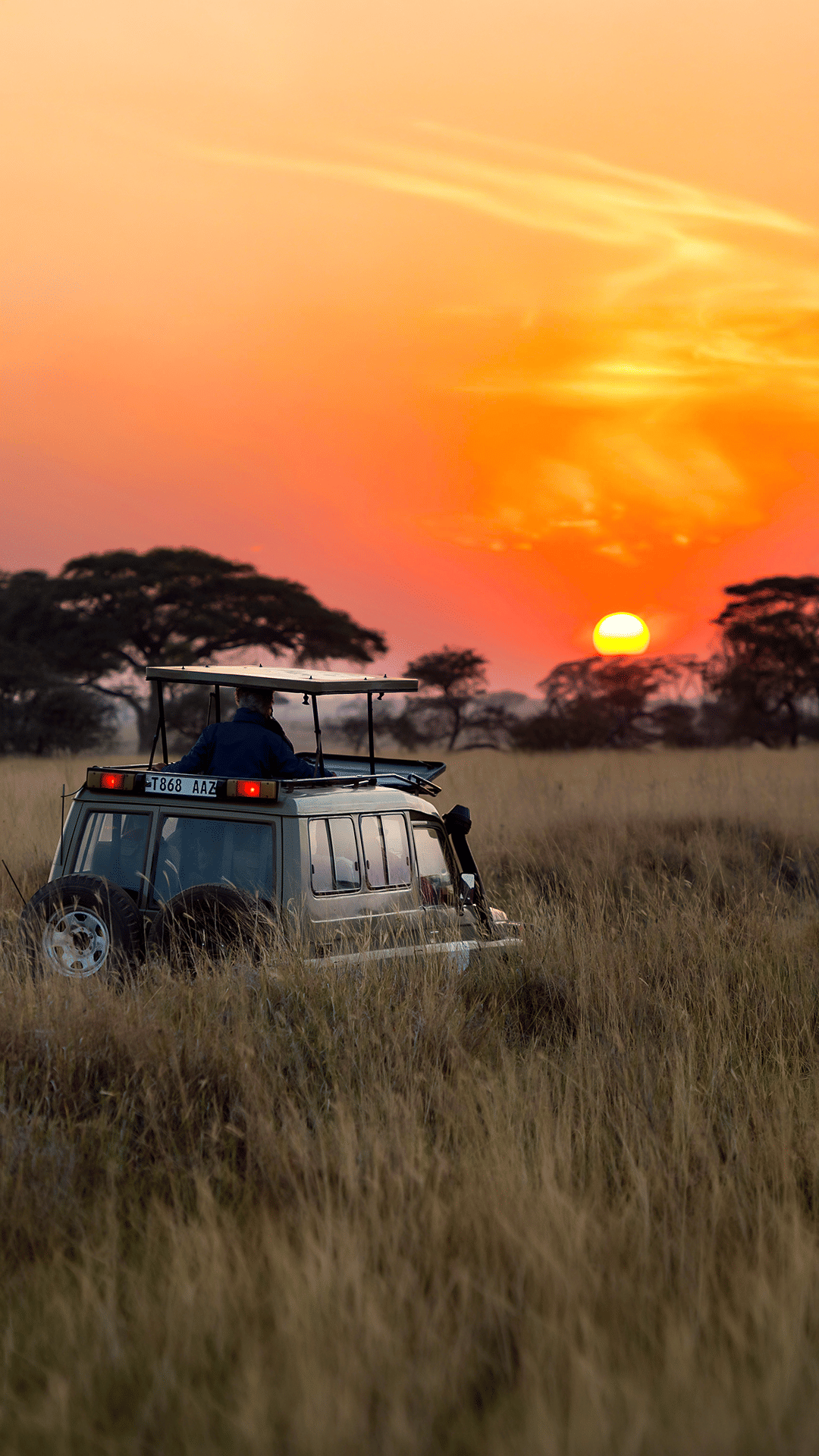 Tanzania Wilderness: The Great Serengeti & Ngorongoro Safari